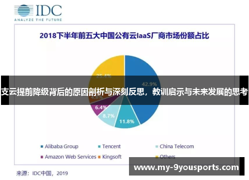 支云提前降级背后的原因剖析与深刻反思，教训启示与未来发展的思考