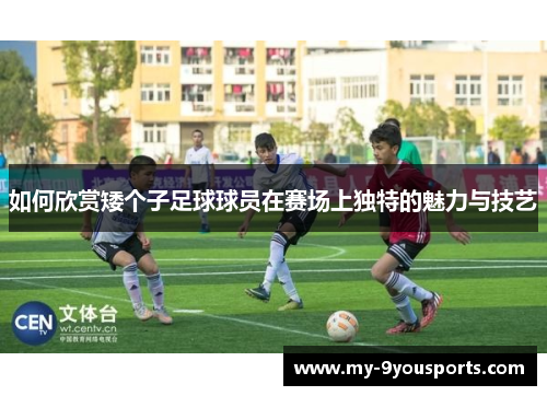 如何欣赏矮个子足球球员在赛场上独特的魅力与技艺