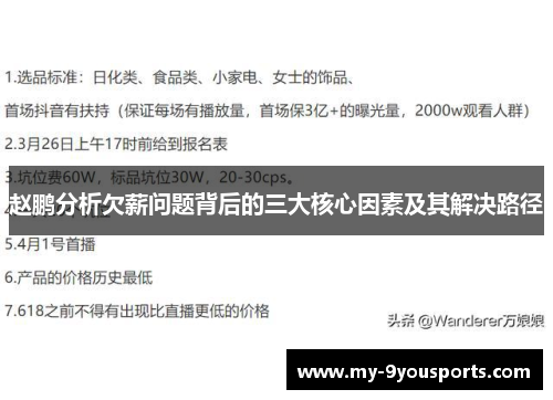 赵鹏分析欠薪问题背后的三大核心因素及其解决路径