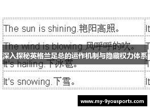 深入探秘英格兰足总的运作机制与隐藏权力体系